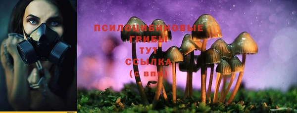 2c-b Липки